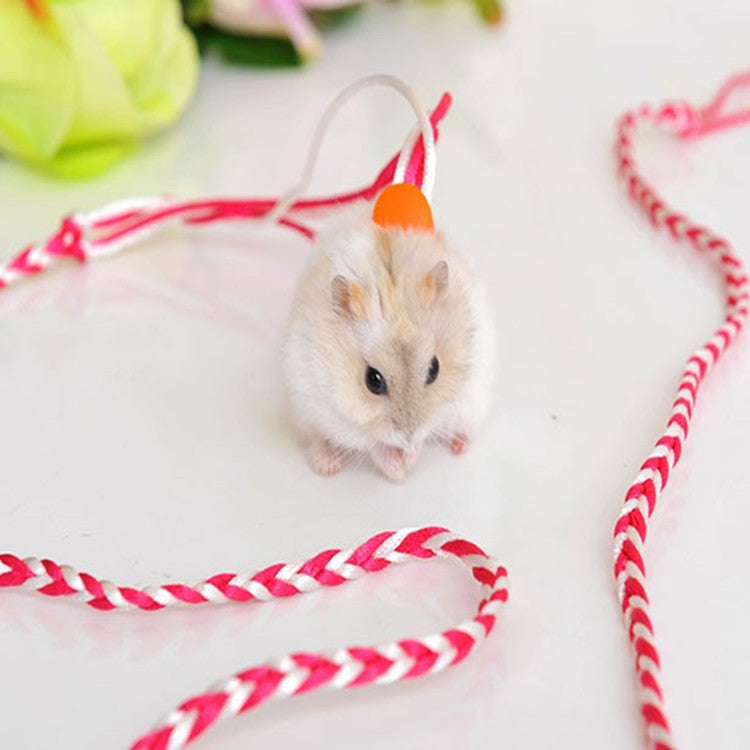 Hand-Woven Small Pet Leash