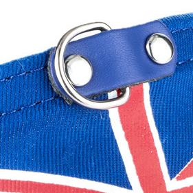 Bandana Flag Collar