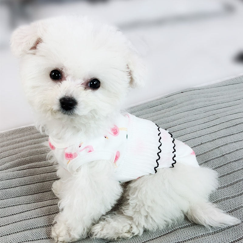 Spring/Summer Cute Shirt