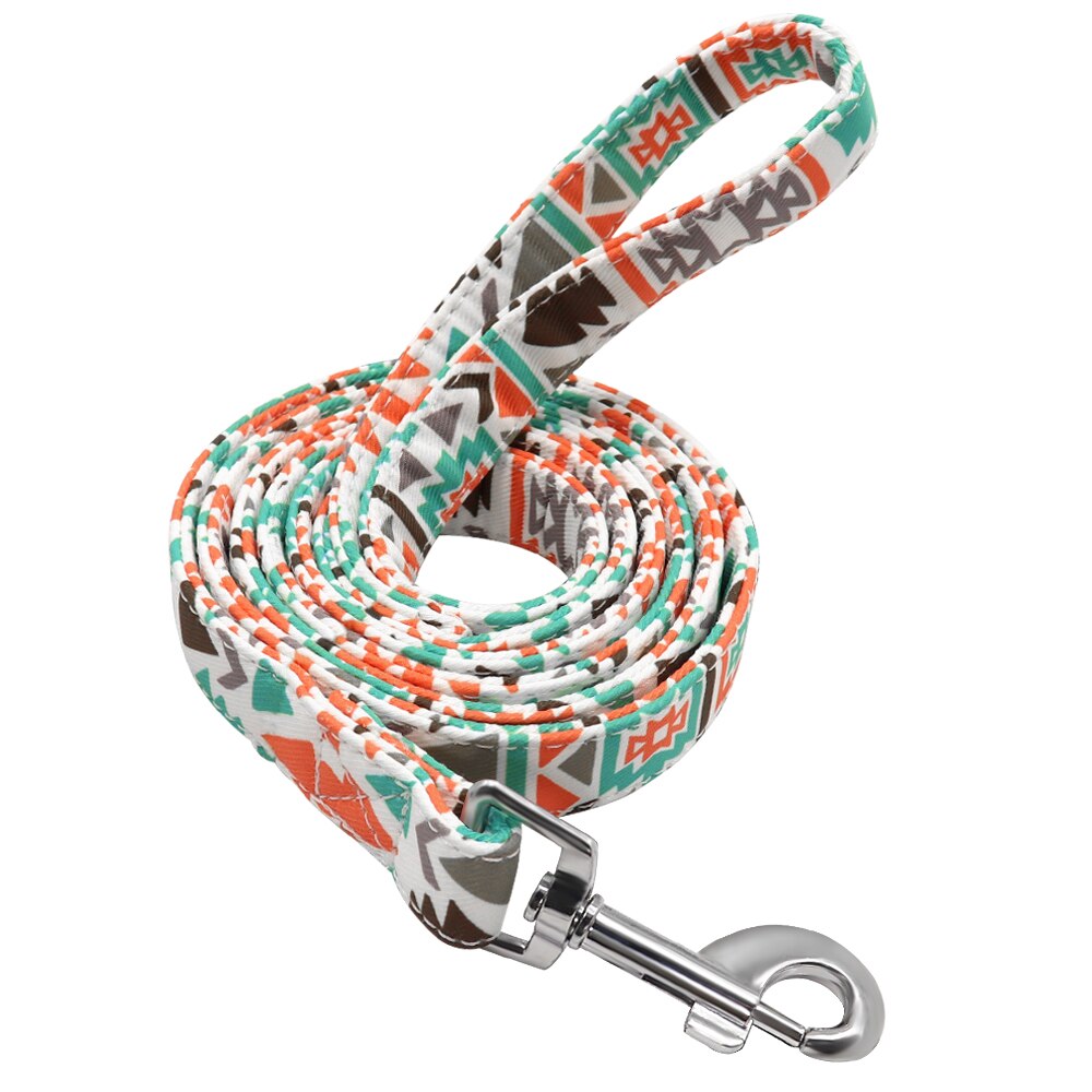Thick Nylon 5ft Leash