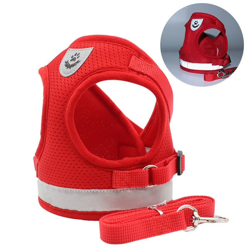 Harness/Leash Set
