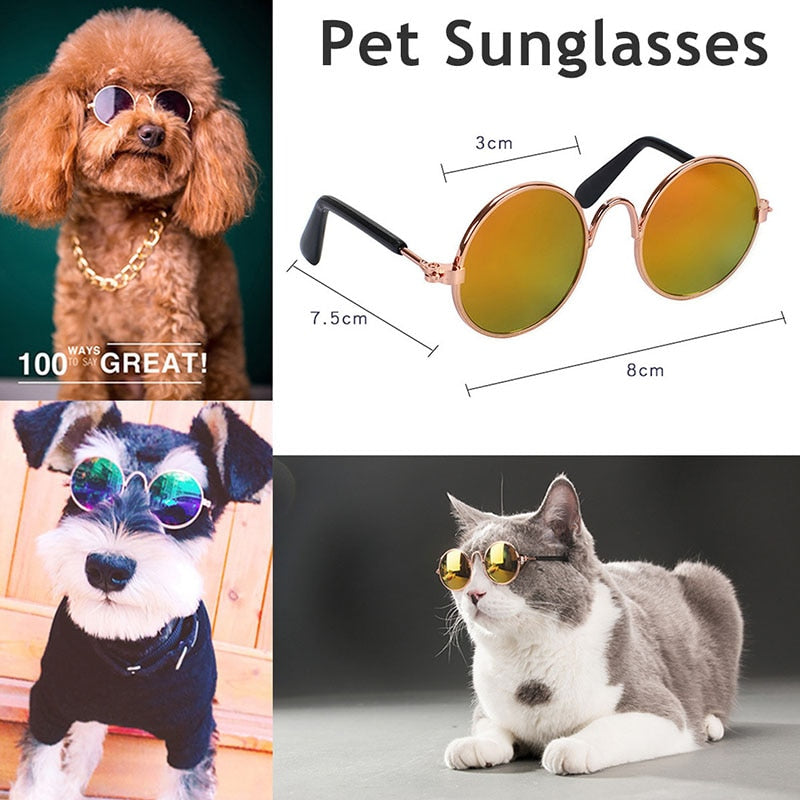 Pet Costume Glasses