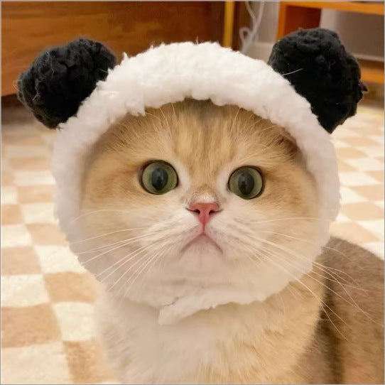 Cute Pet Hats