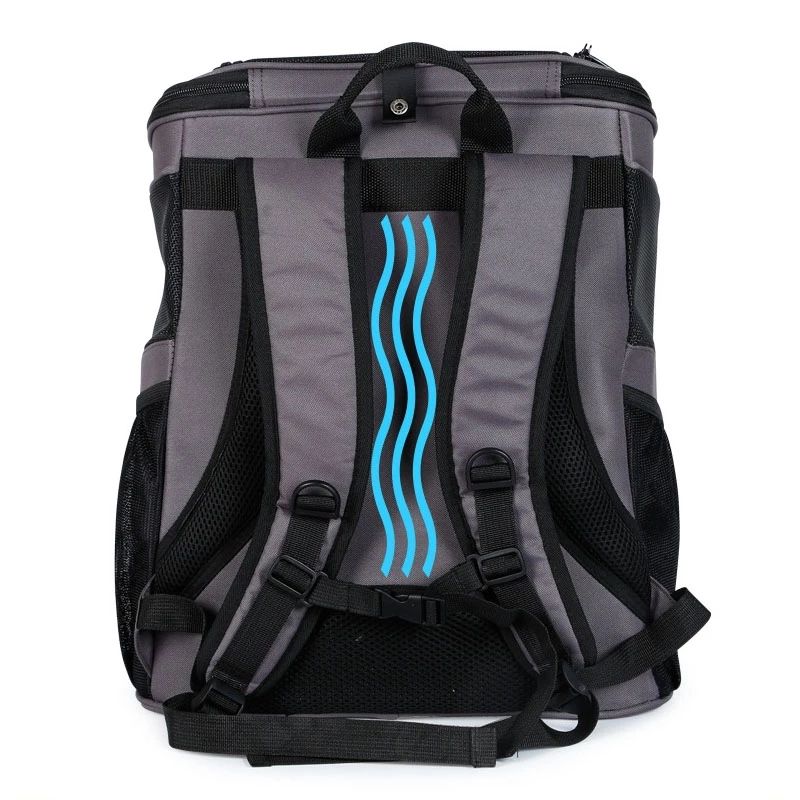 Space Bubble Backpack Carrier