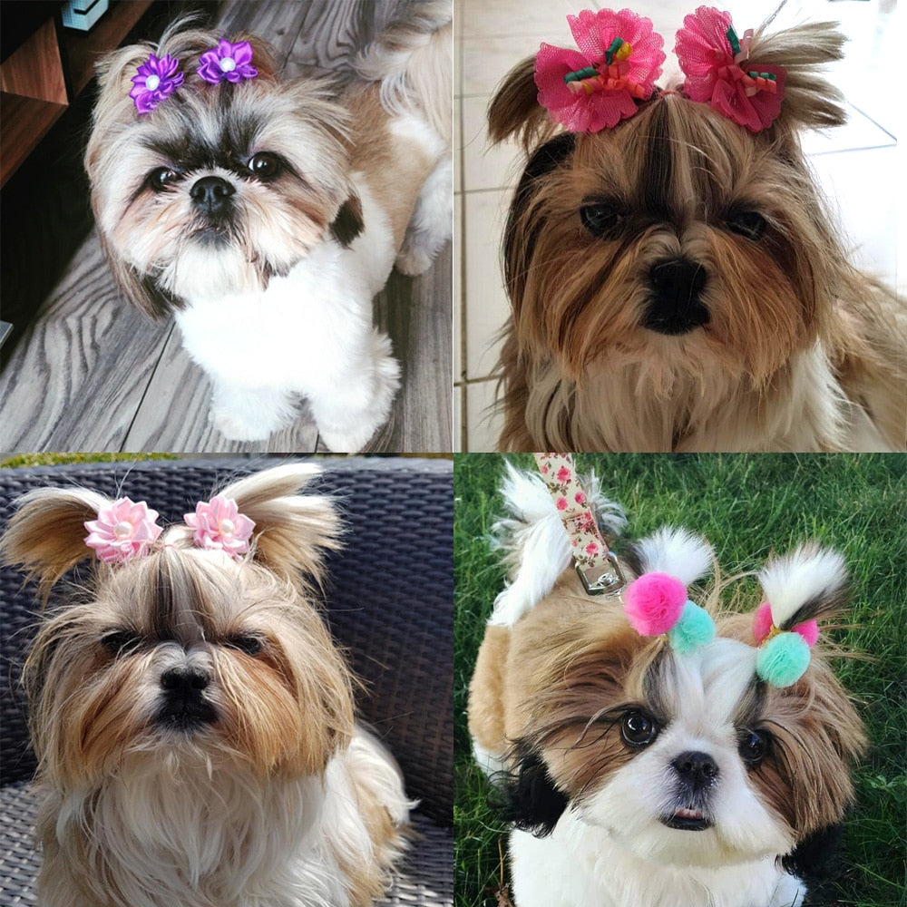10PCS Pet Hair Bows