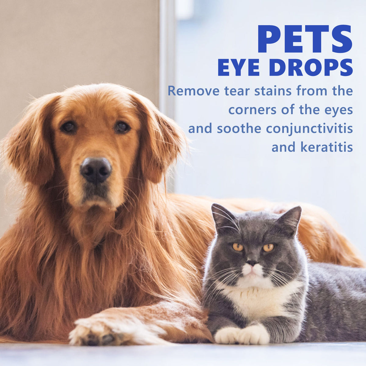 Pet Dry Eye Drops