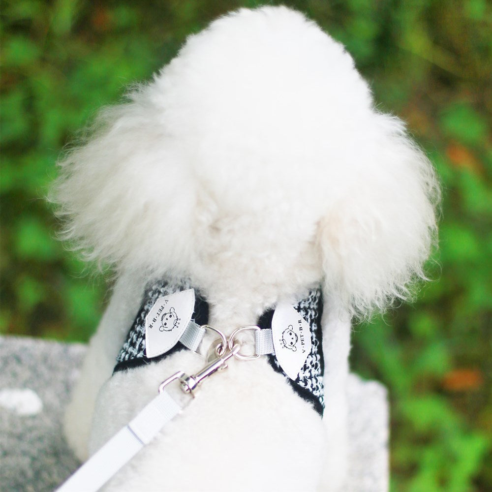 Harness