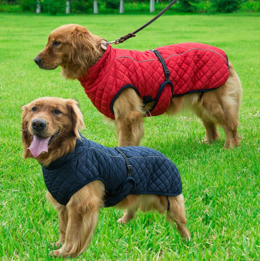 Winter Coat