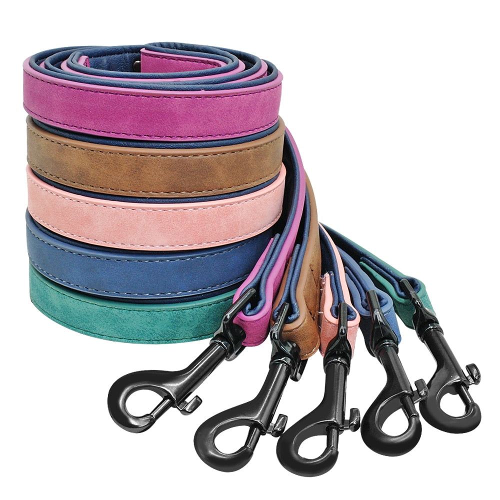 Personalized Leather Collar/Leash
