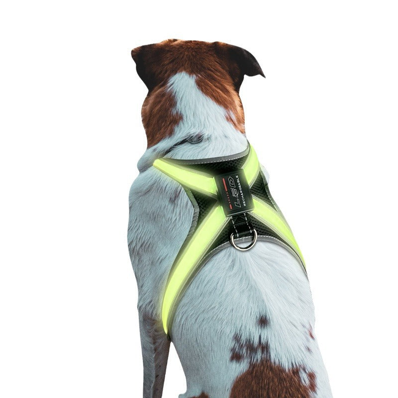 LED dog harness