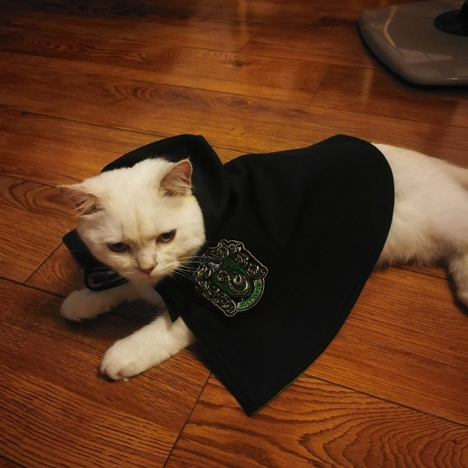 Wizard Halloween Costume