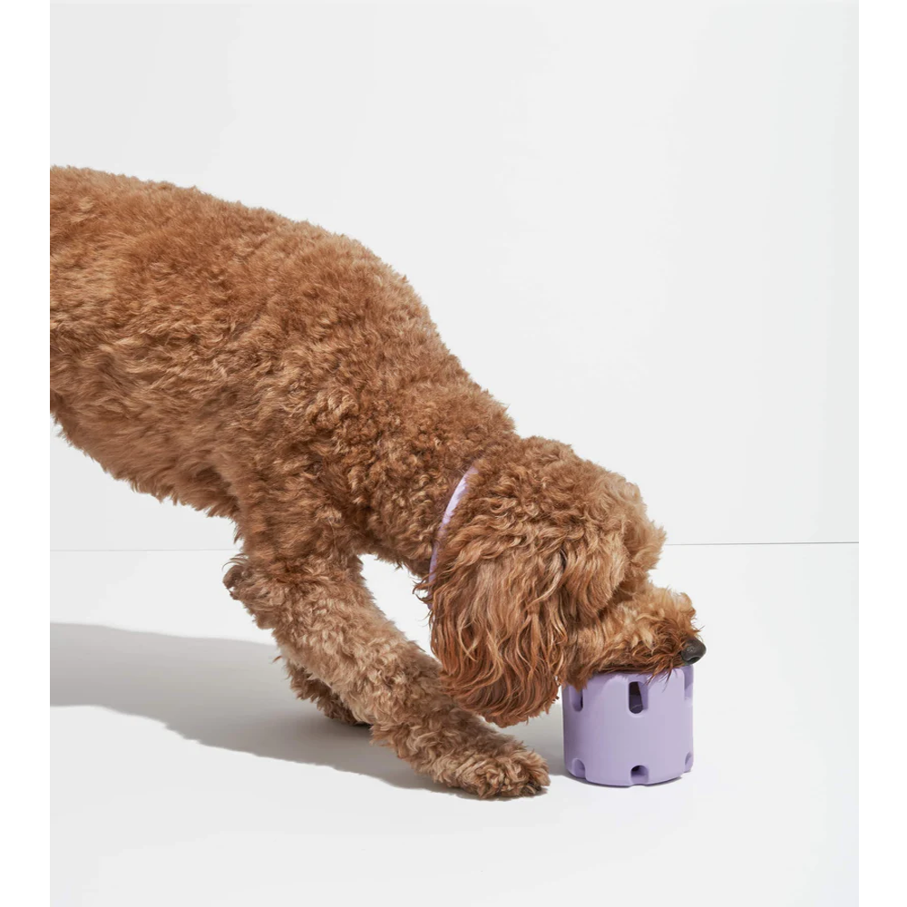 Tennis Ball Cup Dog Toy
