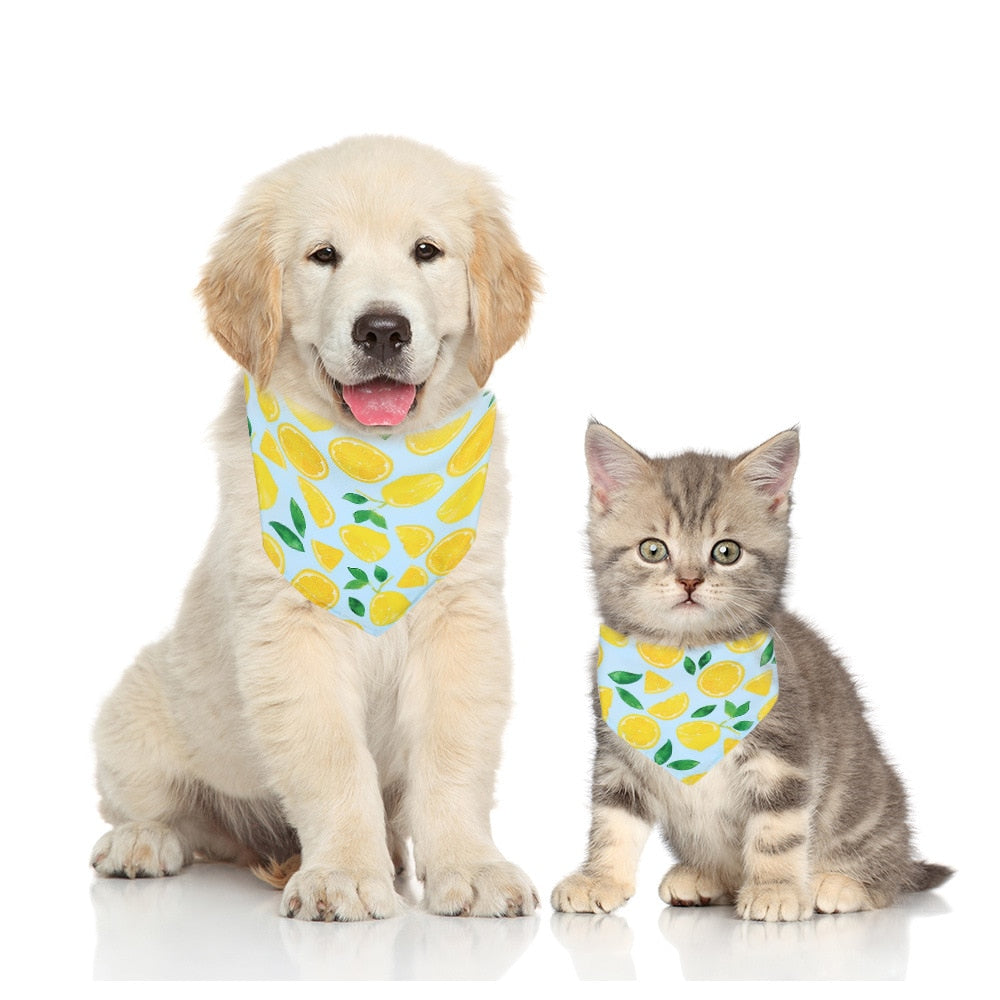 Food Print Bandanna