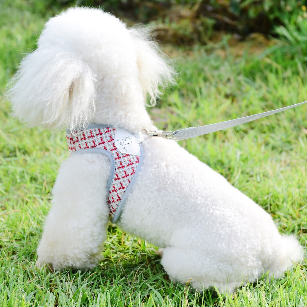 Harness