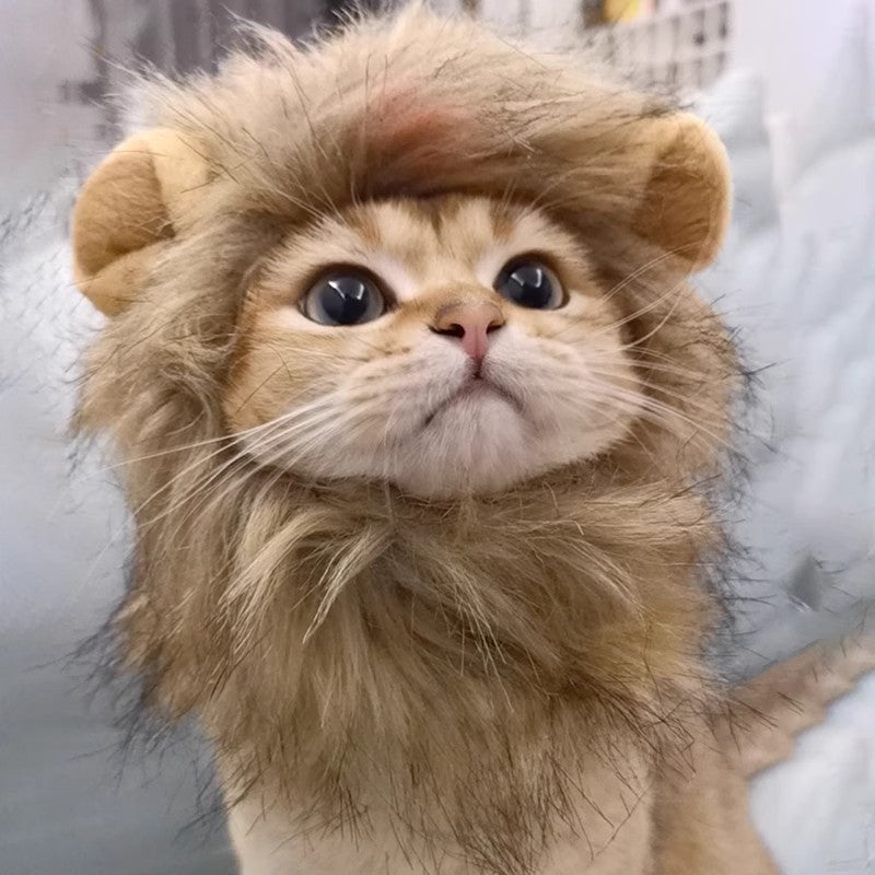 Cute Pet Hats