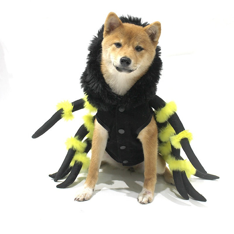 Halloween spider costume