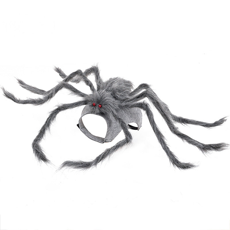 Spider Halloween Costume