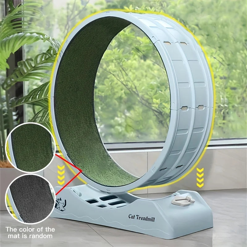 Cat Exercise Wheel