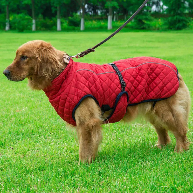 Winter Coat