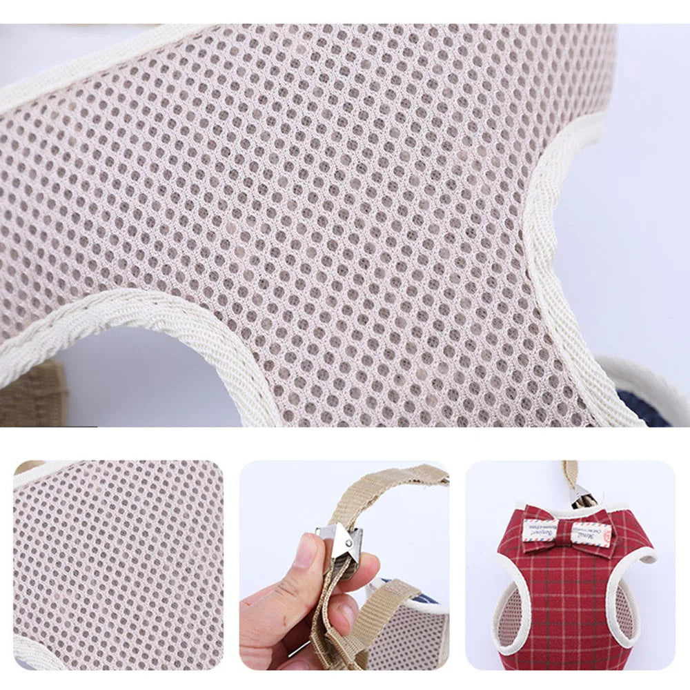 Small Dog/ Cat Harness and Leash Set