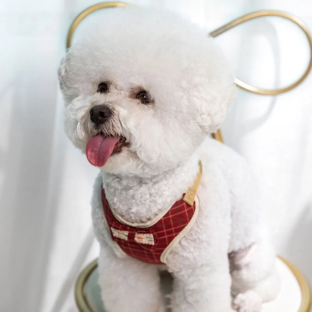 Small Dog/ Cat Harness and Leash Set