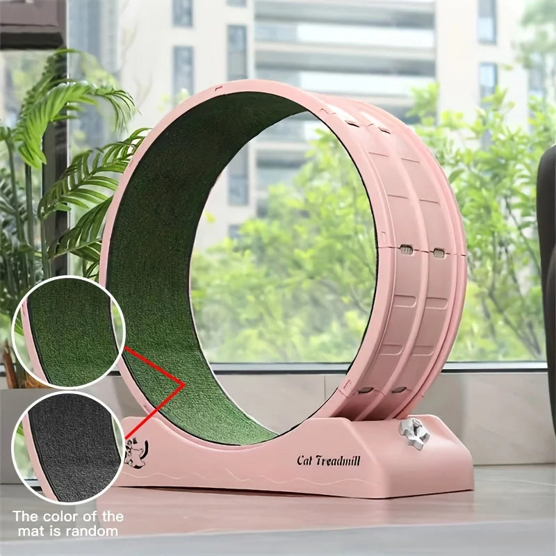 Cat Exercise Wheel