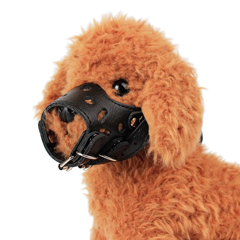 Leather Muzzle