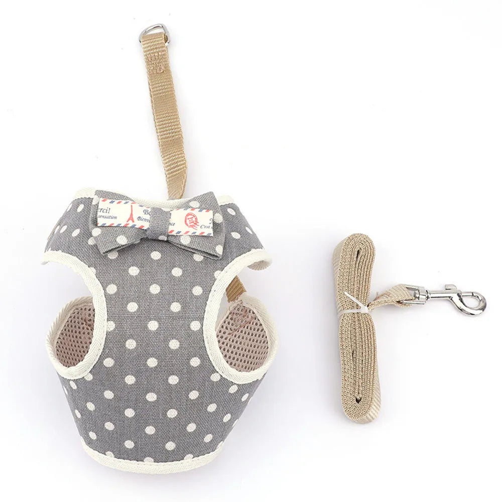 Small Dog/ Cat Harness and Leash Set