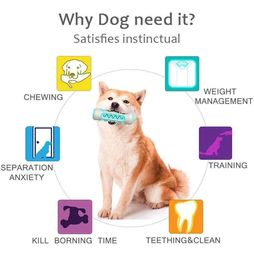 Teeth Cleaning Chew Toy