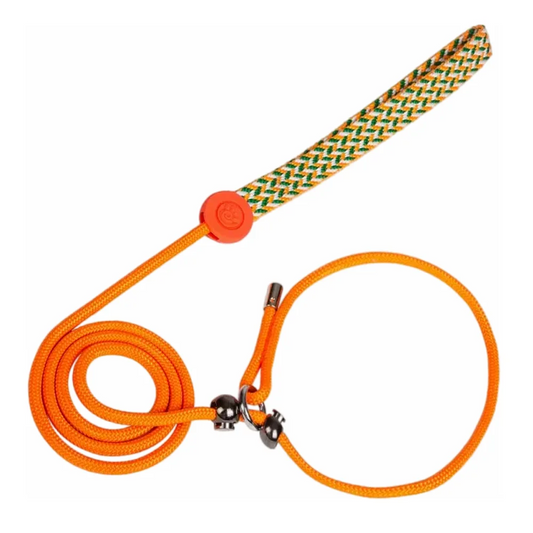 Slip Leash
