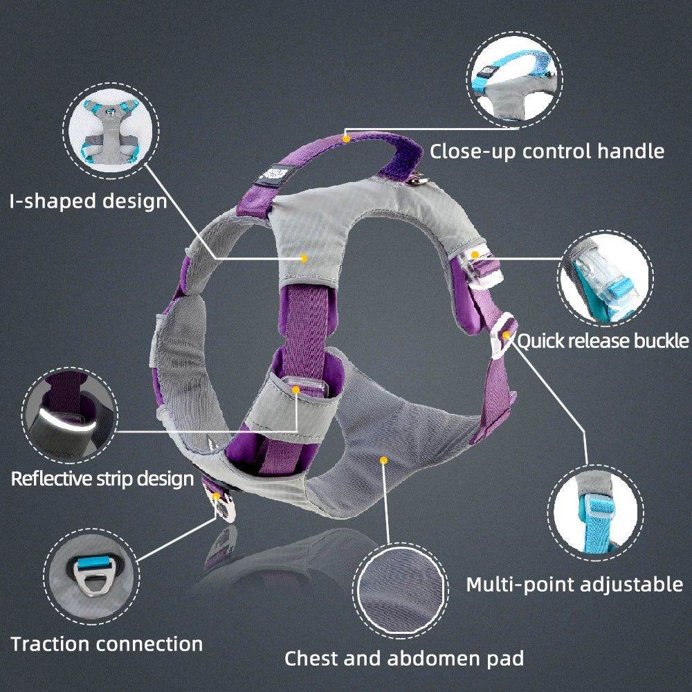 Reflective Y Front Harness with Handle