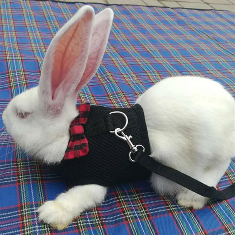 Rabbit/Small Animal Harness
