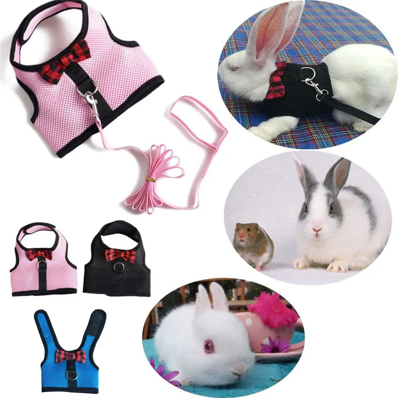 Rabbit/Small Animal Harness