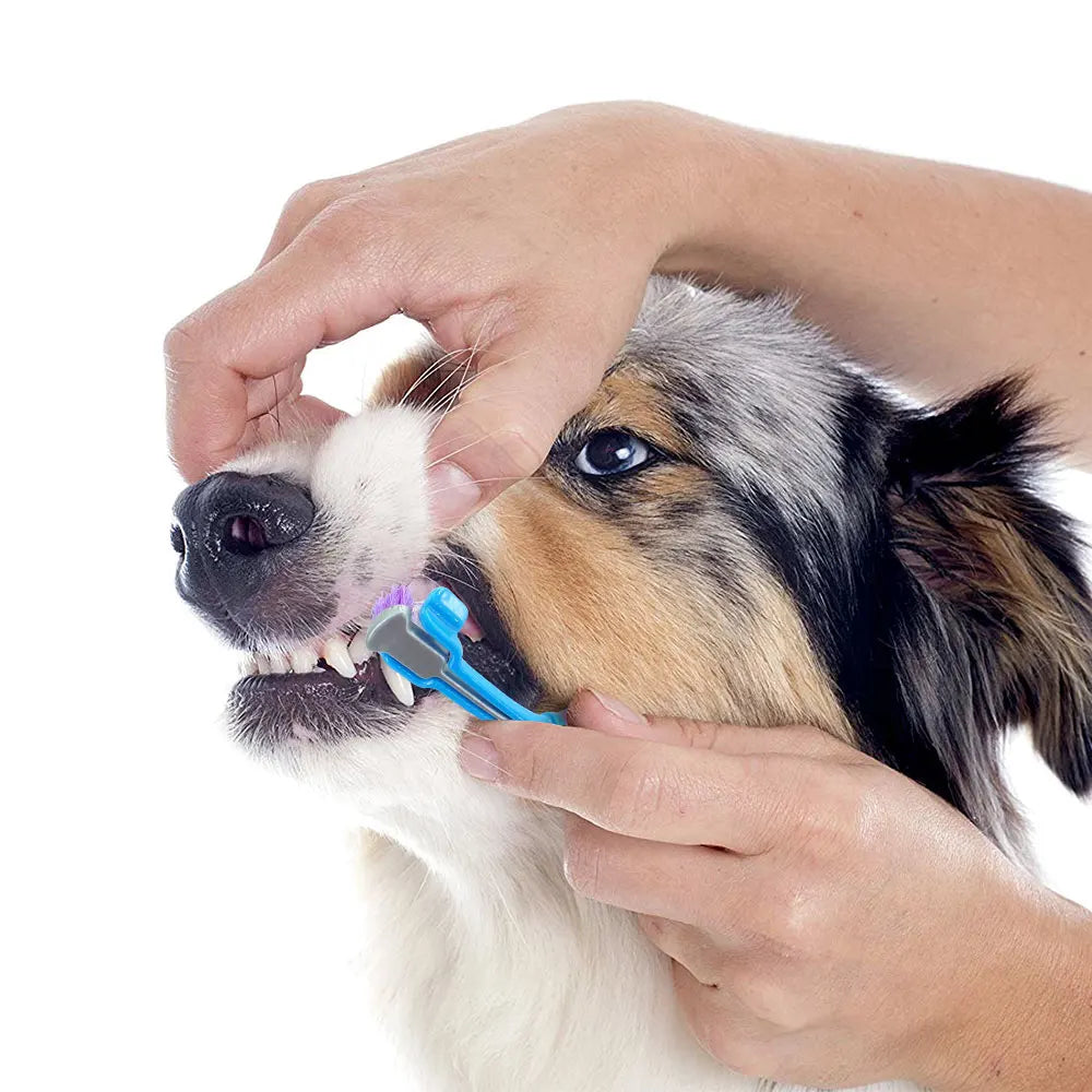 Dog 3 Sided Soft Toothbrush