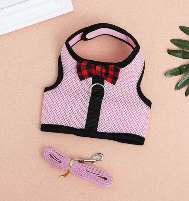 Rabbit/Small Animal Harness