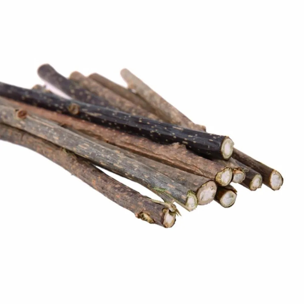 10/15/20pcs Natural Silvervine Chew