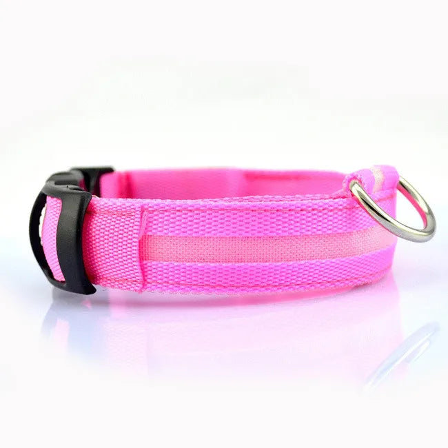 Nylon Rechargeable LED Collar