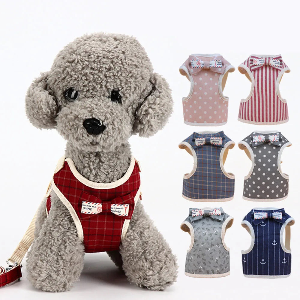 Small Dog/ Cat Harness and Leash Set