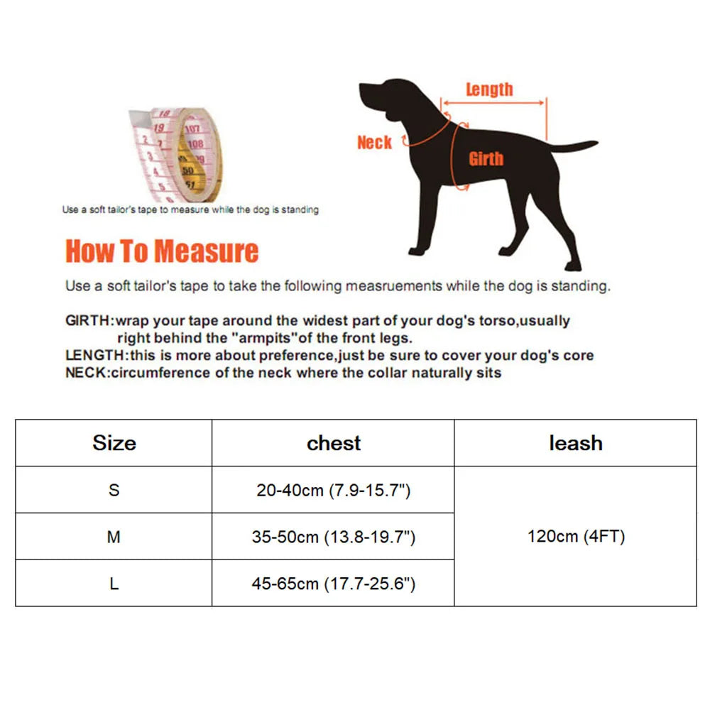 Small Dog/ Cat Harness and Leash Set