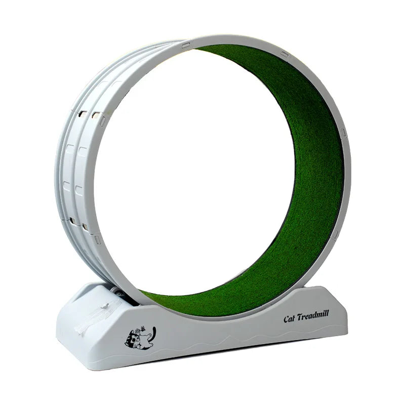 Cat Exercise Wheel
