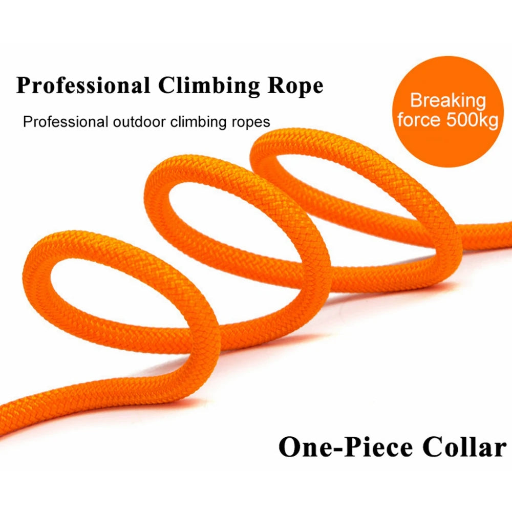 Slip Leash