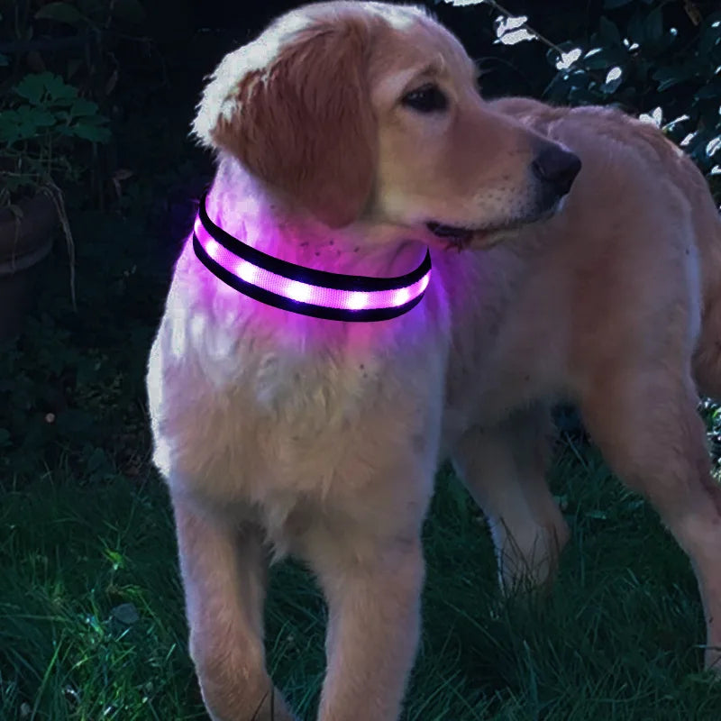 Nylon Rechargeable LED Collar