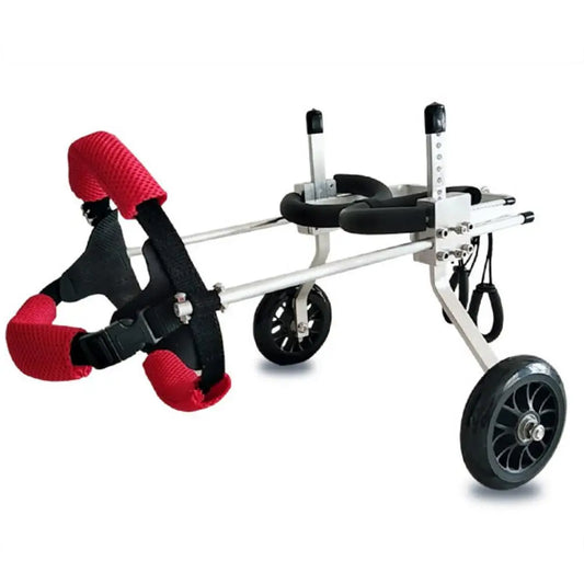 Pet Wheelchair 2 Wheel