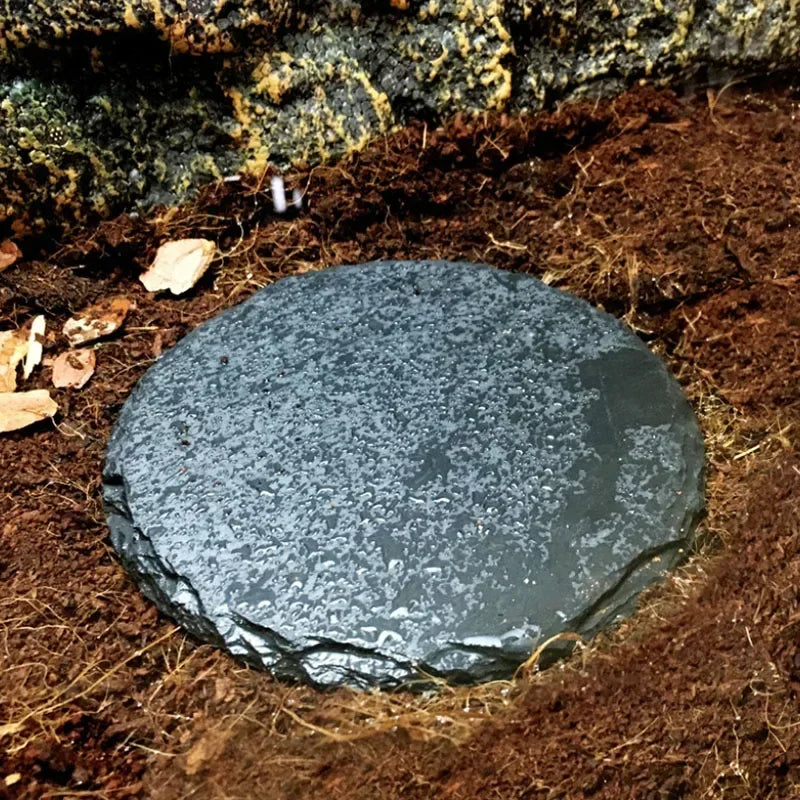 Reptile Slate Basking Stone
