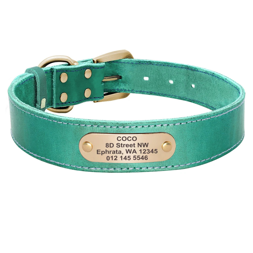 Personalized Leather Dog Collar/Leash Set