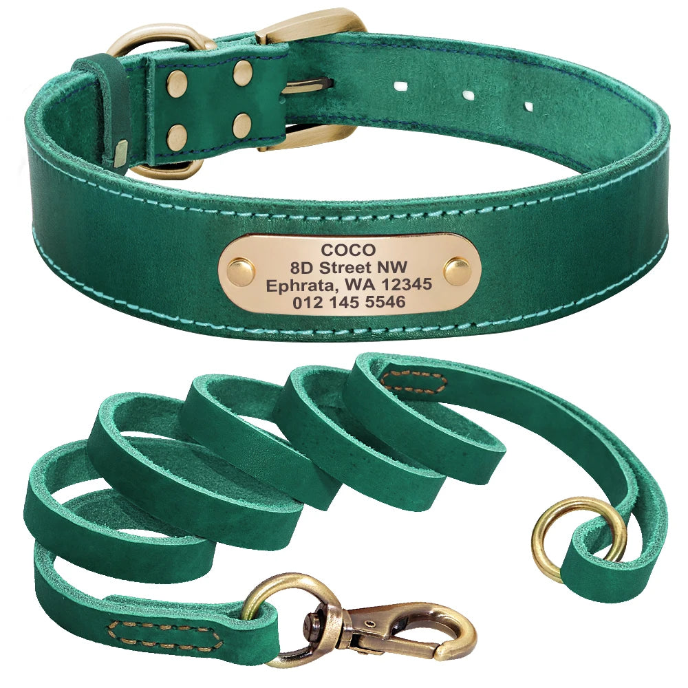 Personalized Leather Dog Collar/Leash Set