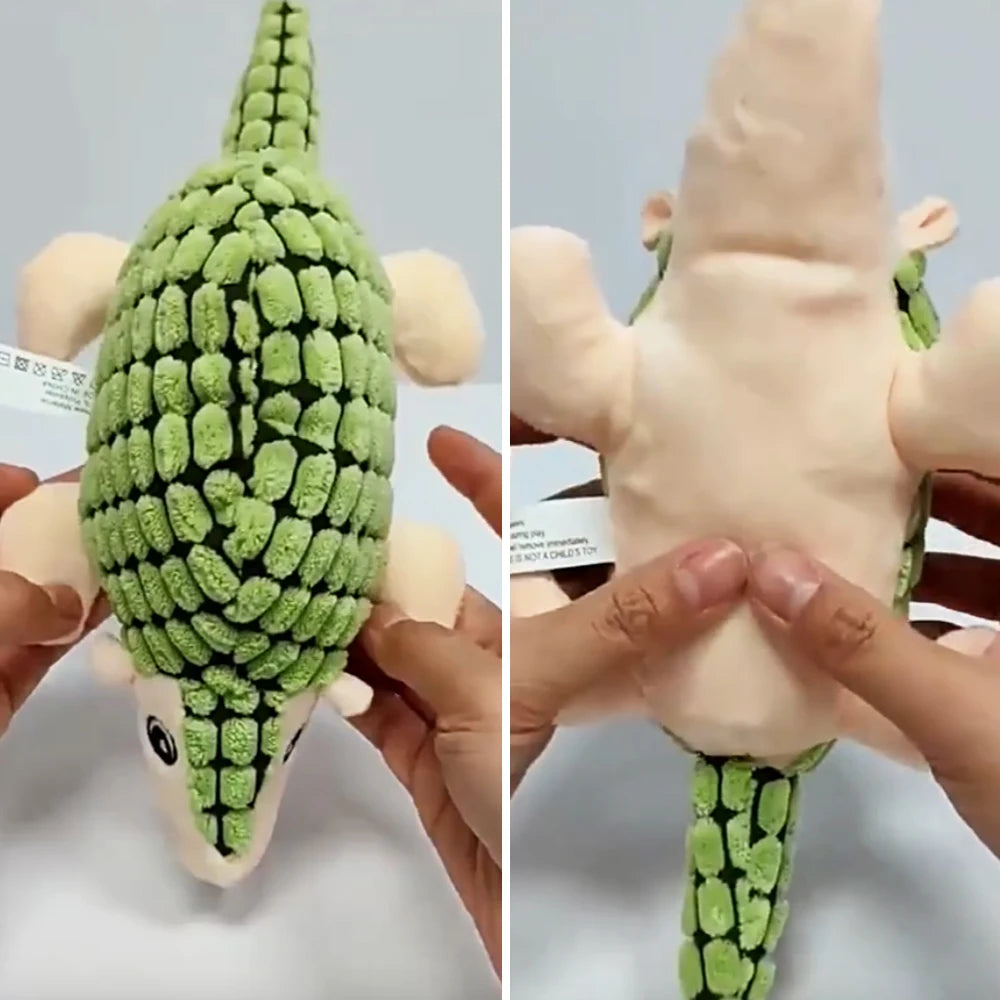 Squeaky Plush Dog Toy