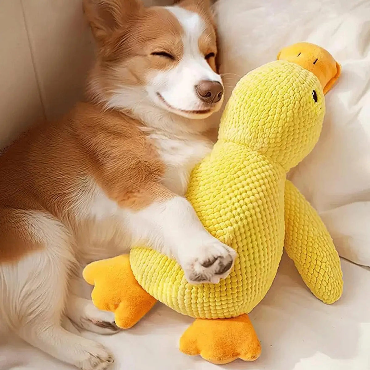Plush Duck Dog Toy