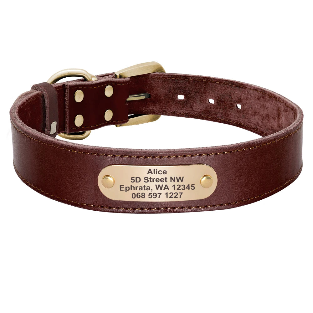 Personalized Leather Dog Collar/Leash Set