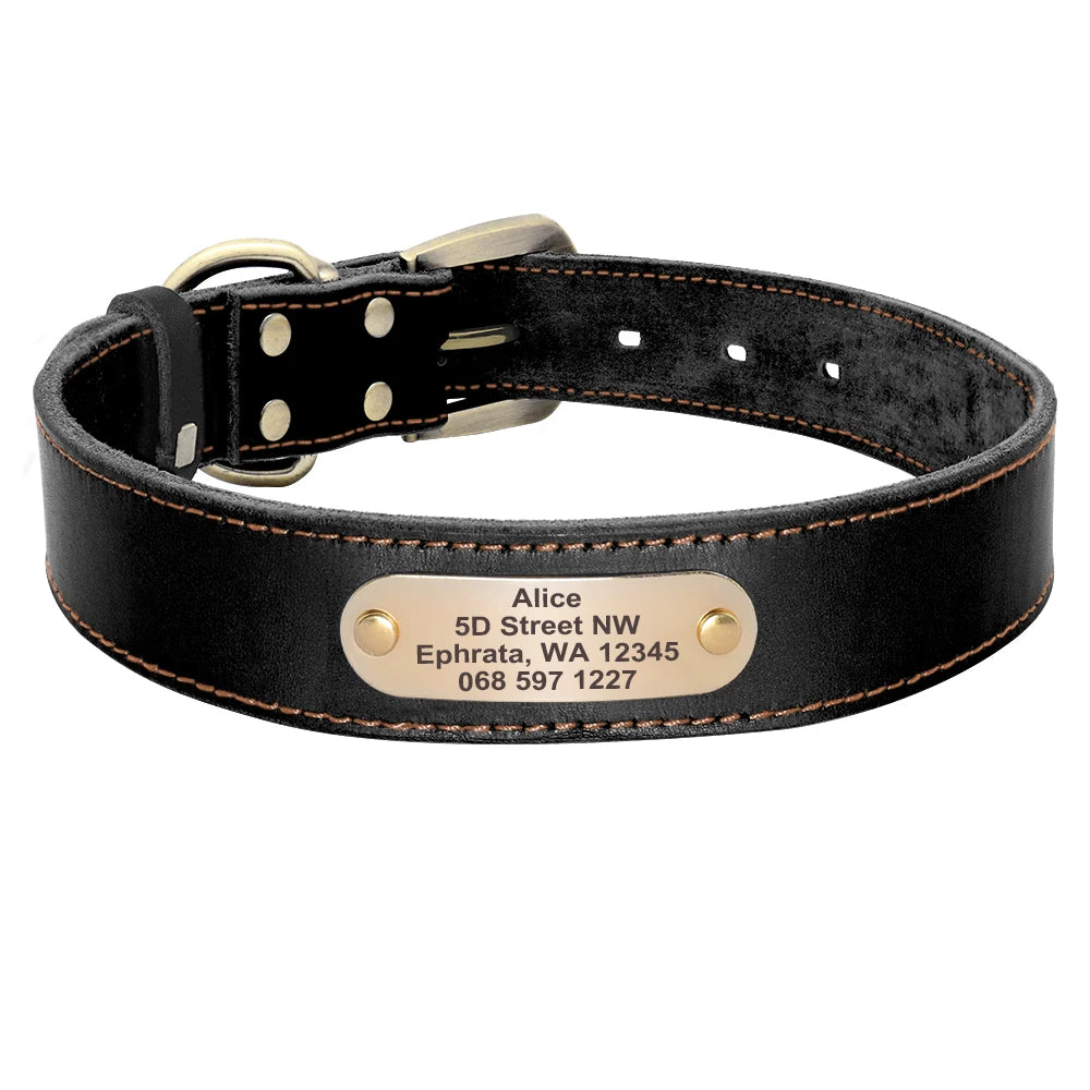 Personalized Leather Dog Collar/Leash Set